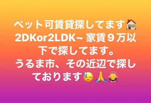ペット可賃貸探してます
