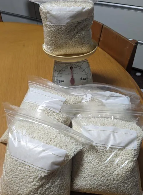 お米　5kg 