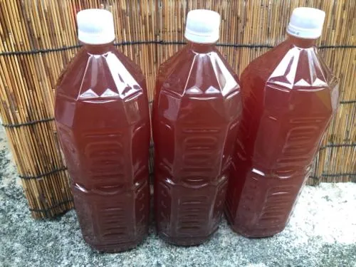 光合成細菌 2L