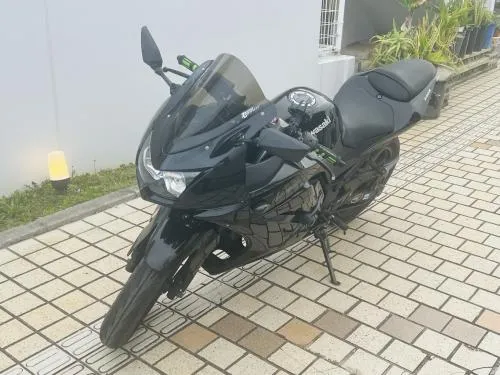 ニンジャ250